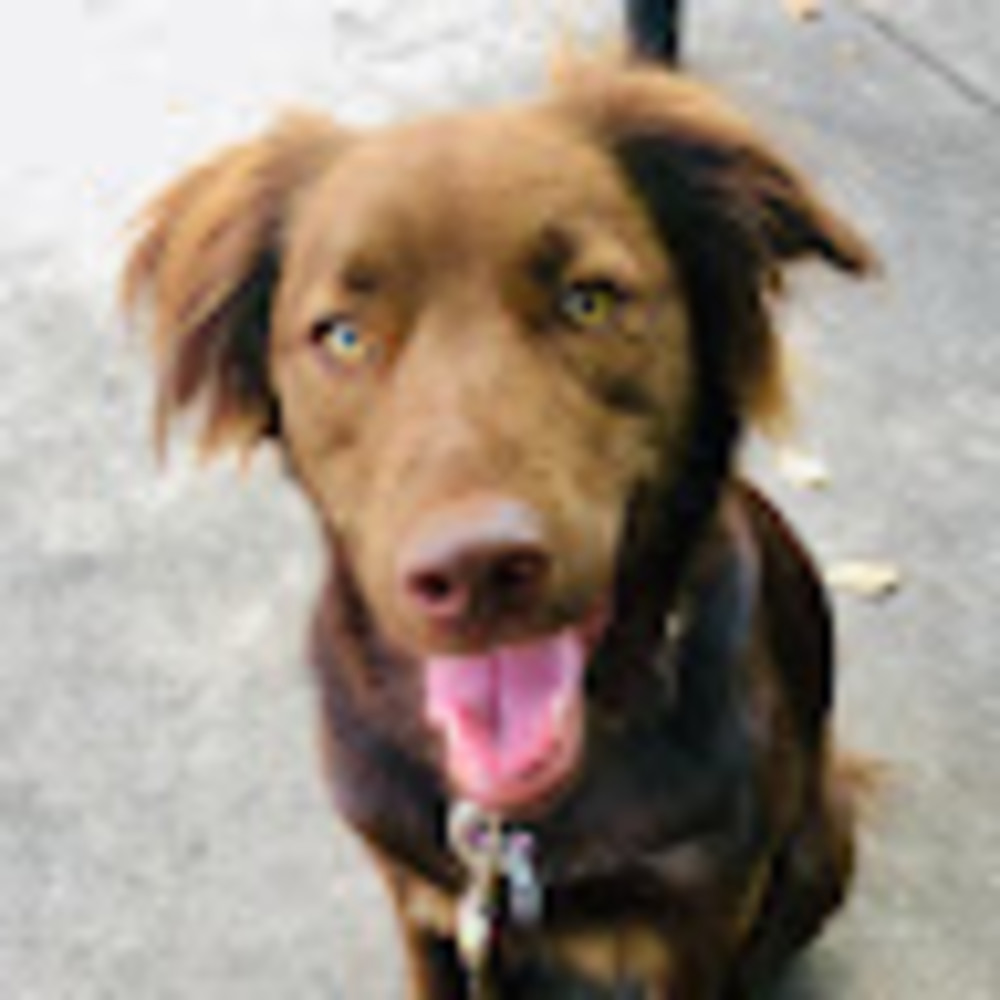 Meet your Posher, Gwen